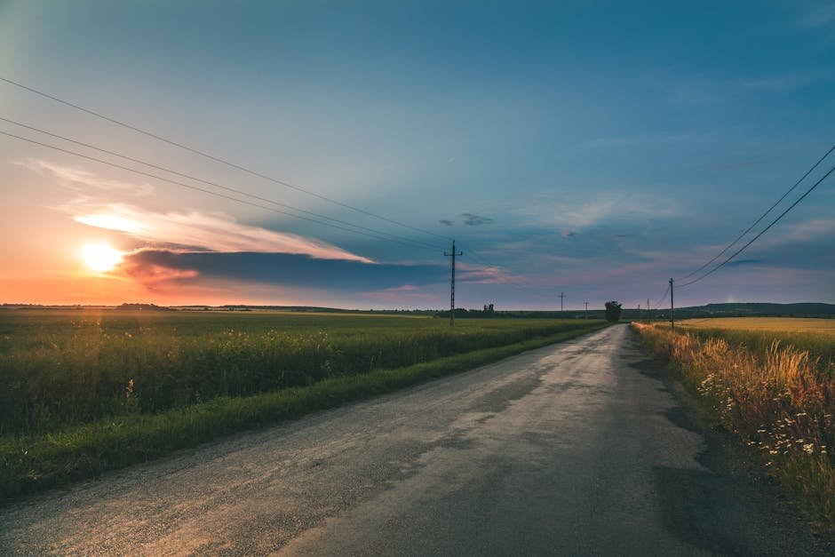 Auckland scenic drives — country roads