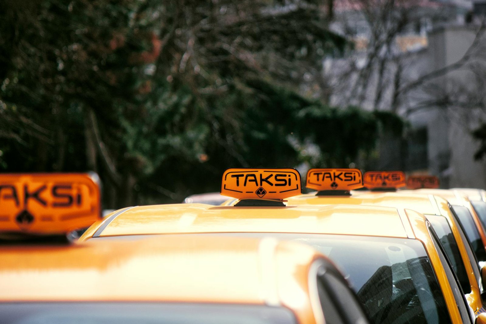 Auckland taxis — taxi rank traditional cabs