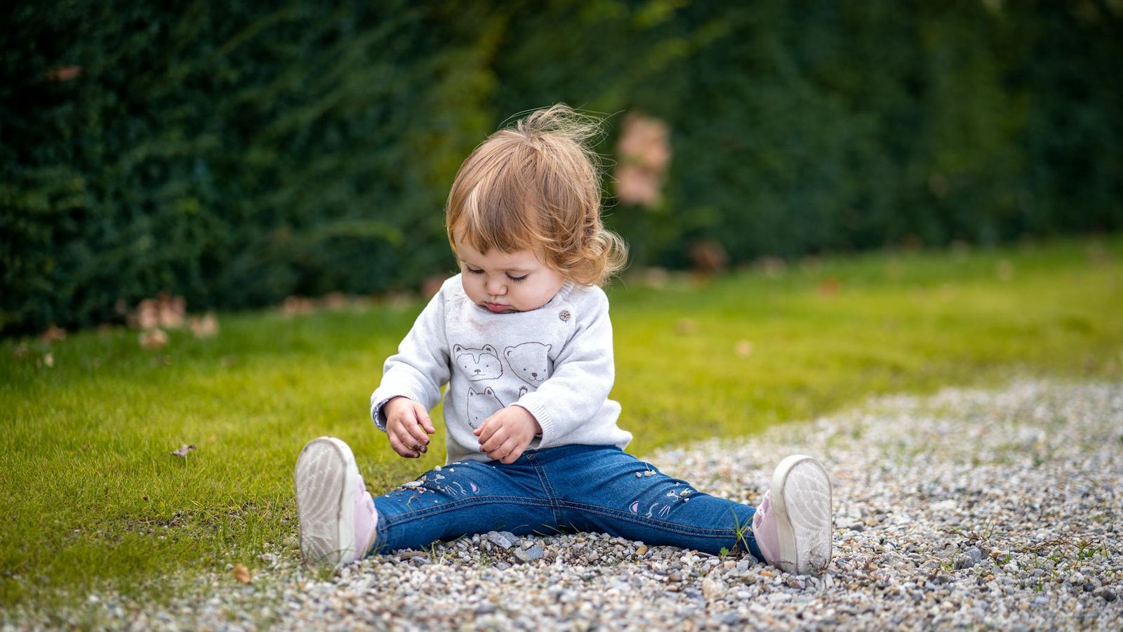 Auckland with toddlers — best parks and activities