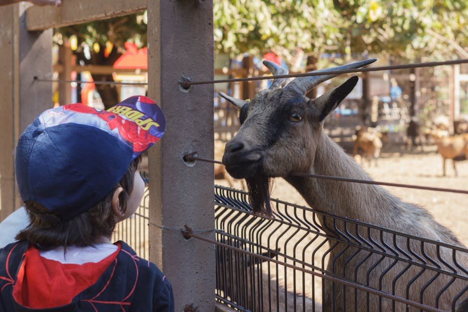 Auckland Zoo with kids — family visit