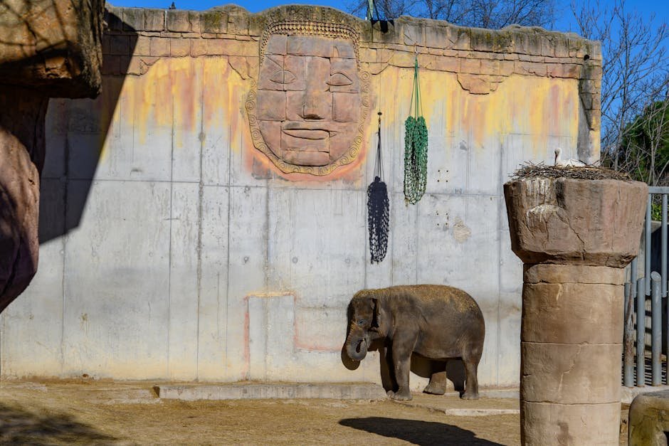 Auckland Zoo with kids — elephant exhibit