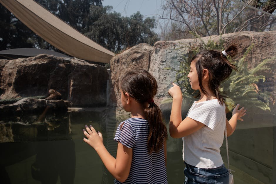 Auckland Zoo with kids — animal viewing
