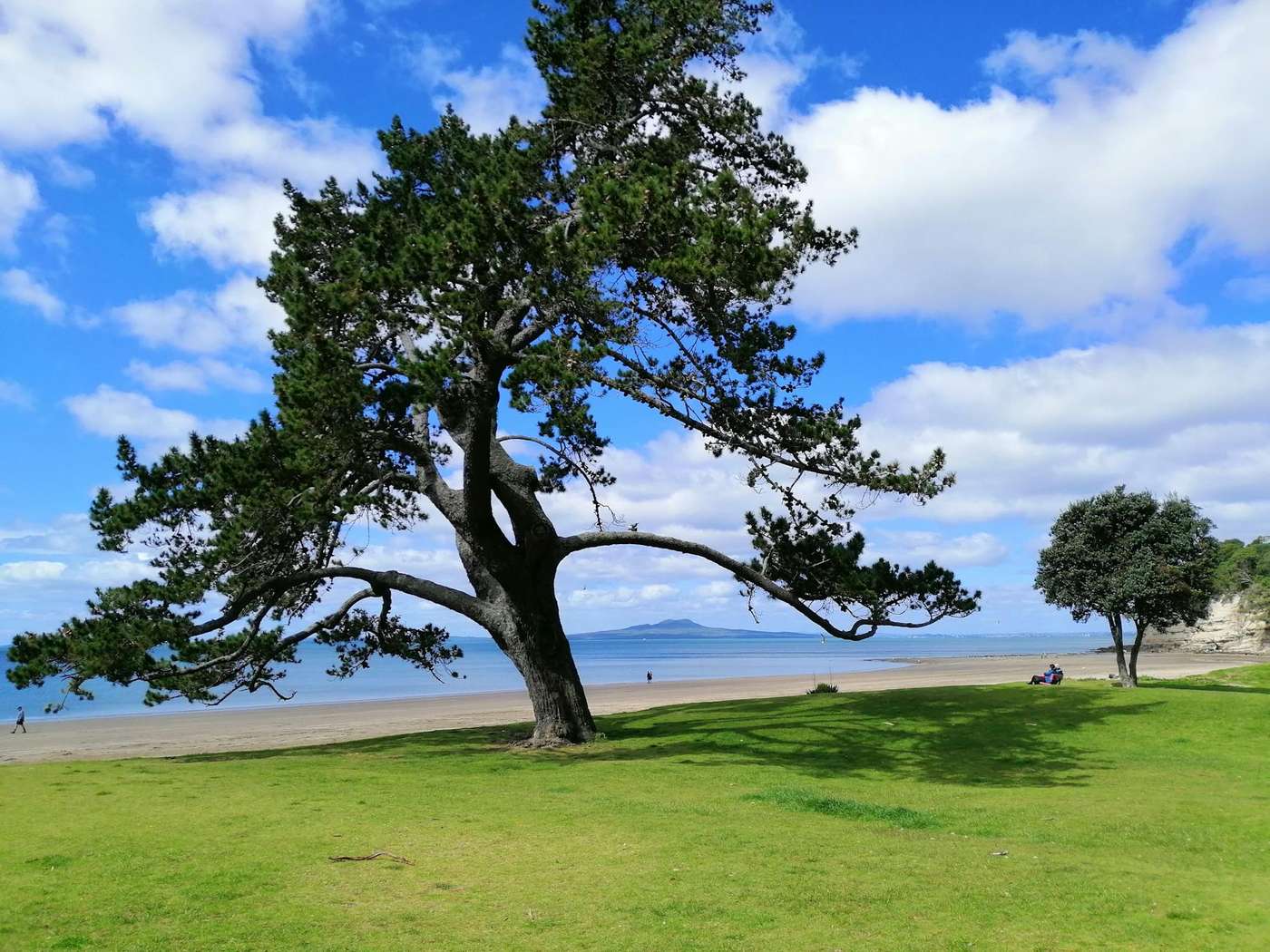 Cheltenham Beach Devonport Auckland — calm swimming