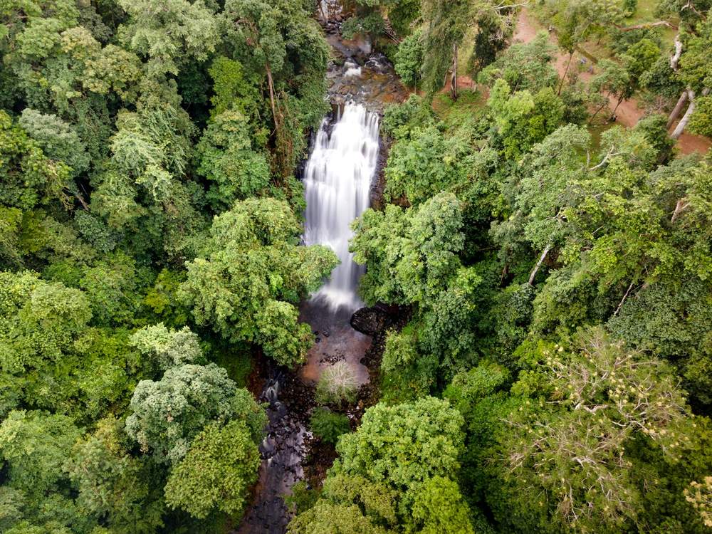 Karekare Falls walk — short hike to waterfall near beach