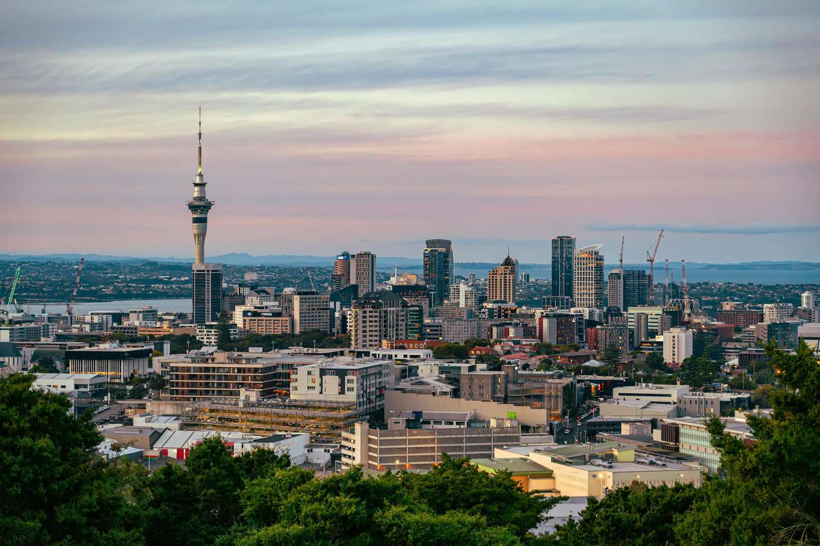 Auckland vs Wellington vs Queenstown — NZ travel map