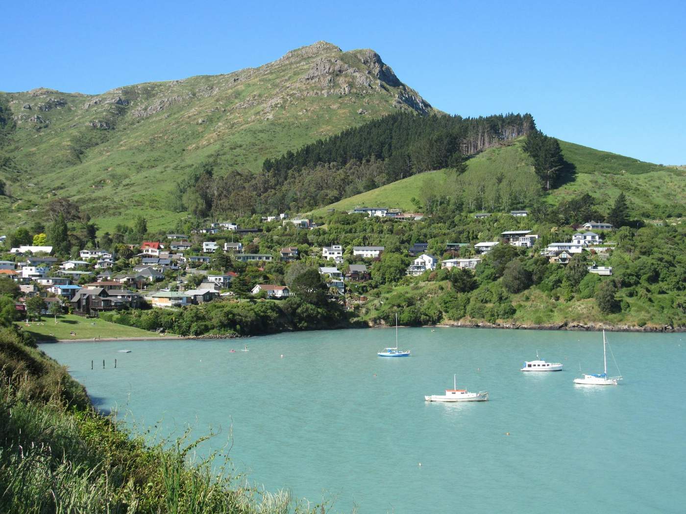 Bay of Islands day trip — Paihia ferry hub