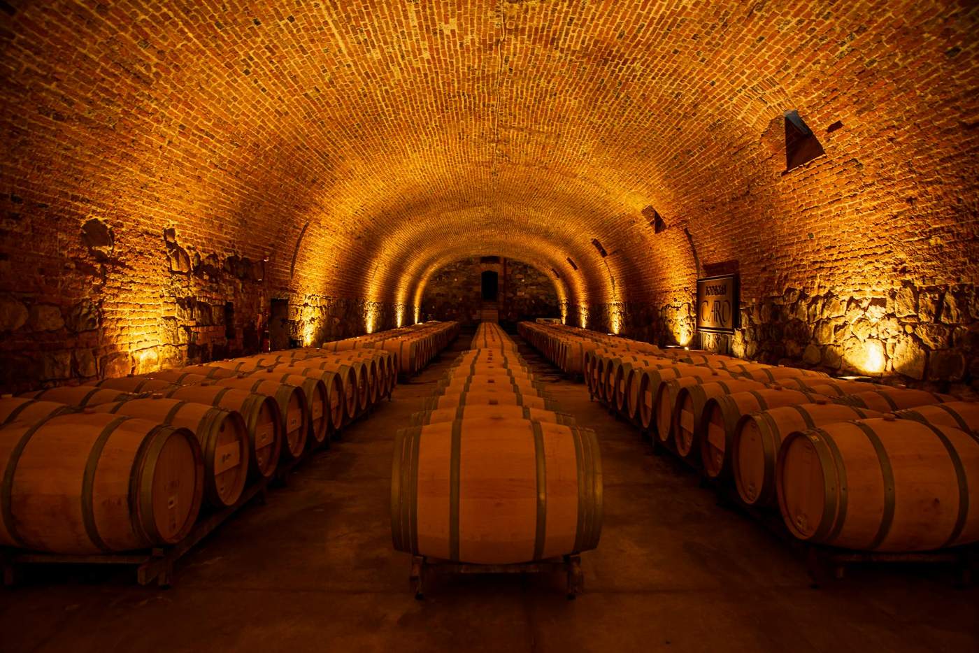 Wineries near Auckland — cellar door wines