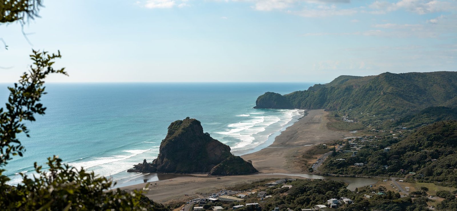 Waitakere Ranges hikes — kauri forest