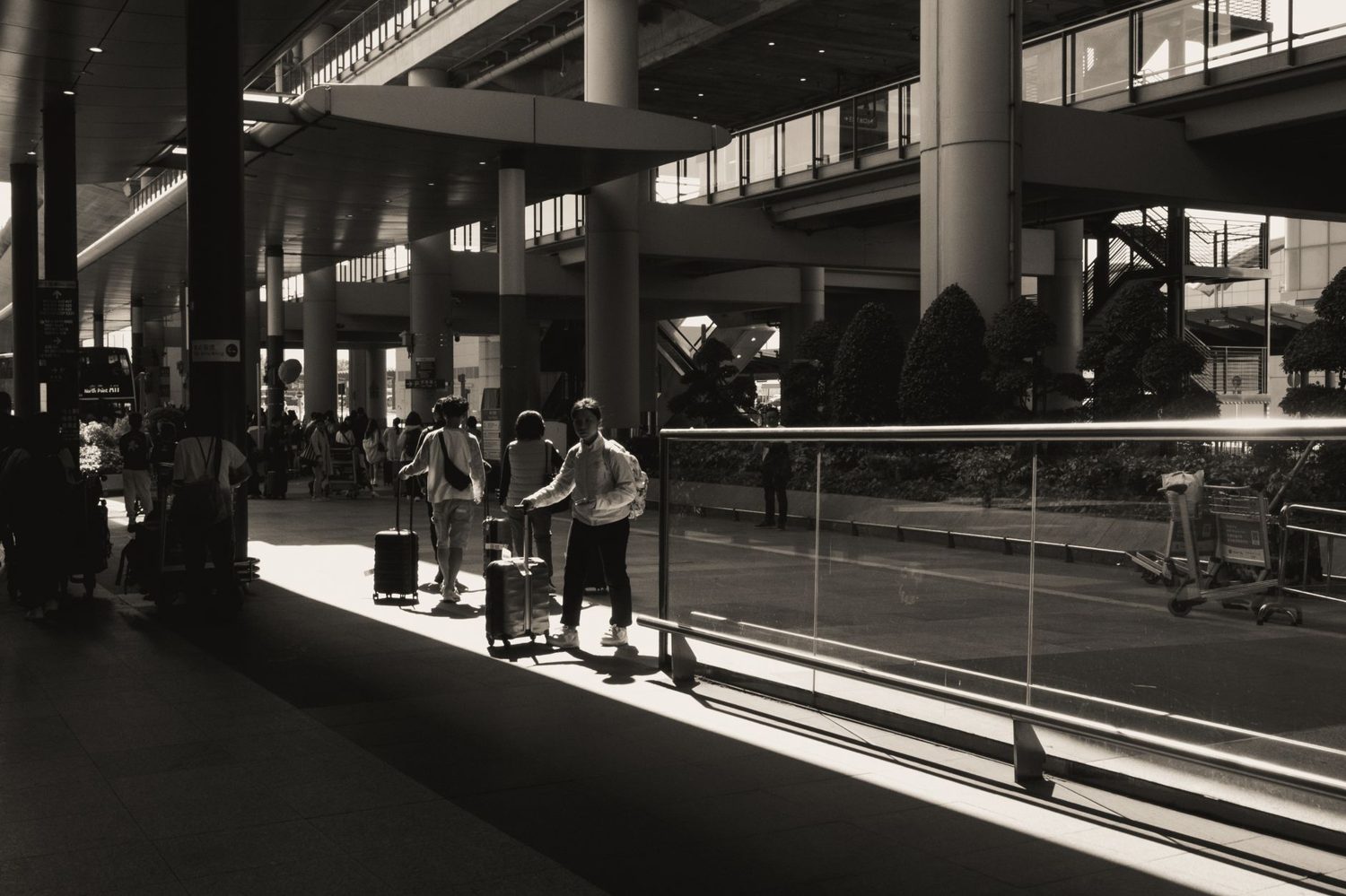 Travellers with luggage arriving at Auckland Airport heading to the CBD