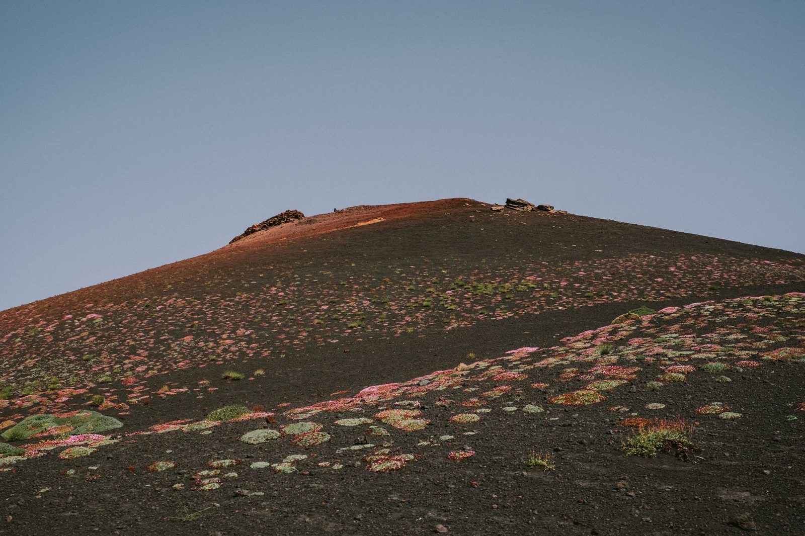 A tupuna maunga volcanic cone in Auckland with visible pa terracing on its slopes