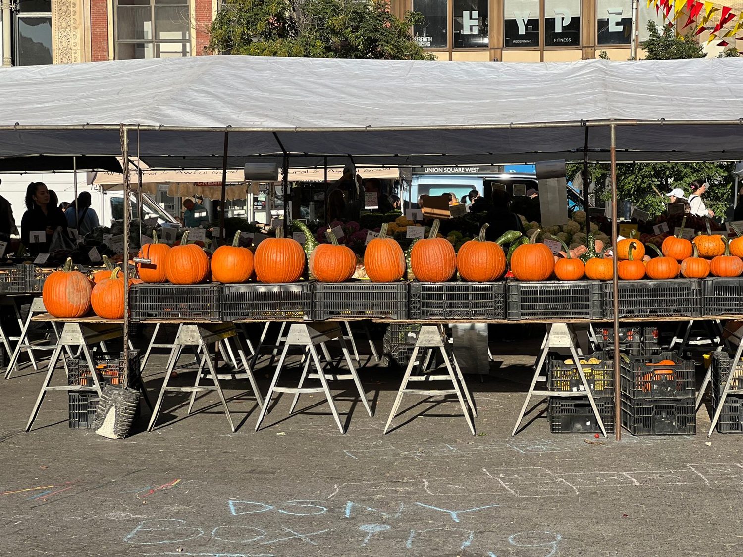 Autumn produce stall at an Auckland weekend market