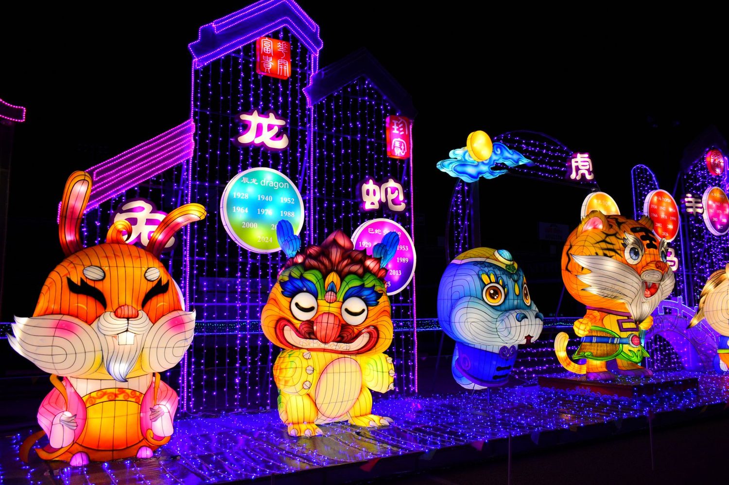 Illuminated lanterns glowing at night at the Auckland Lantern Festival
