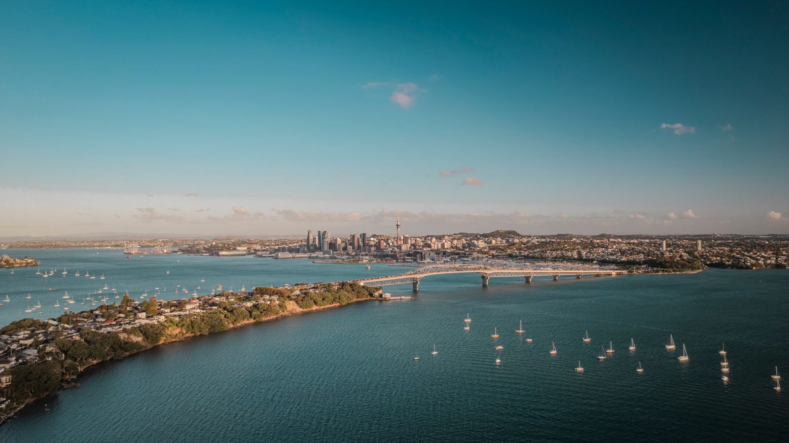 Yachts sailing on the Waitemata Harbour below the Auckland Harbour Bridge in summer
