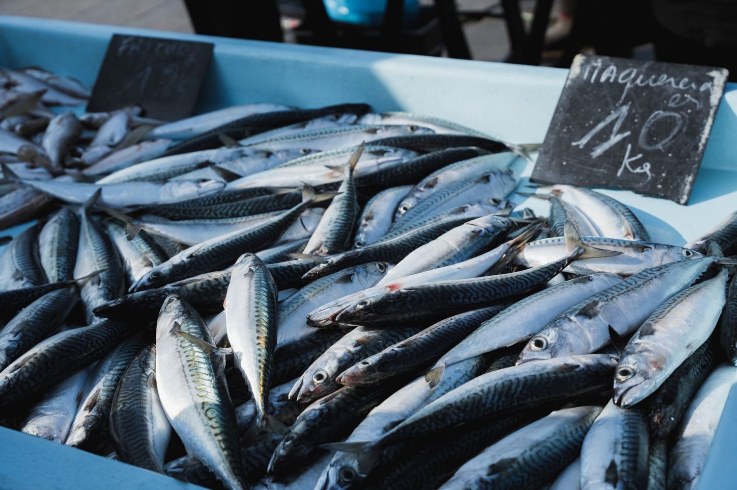 Casual seafood dining at the Auckland Fish Market in Wynyard Quarter