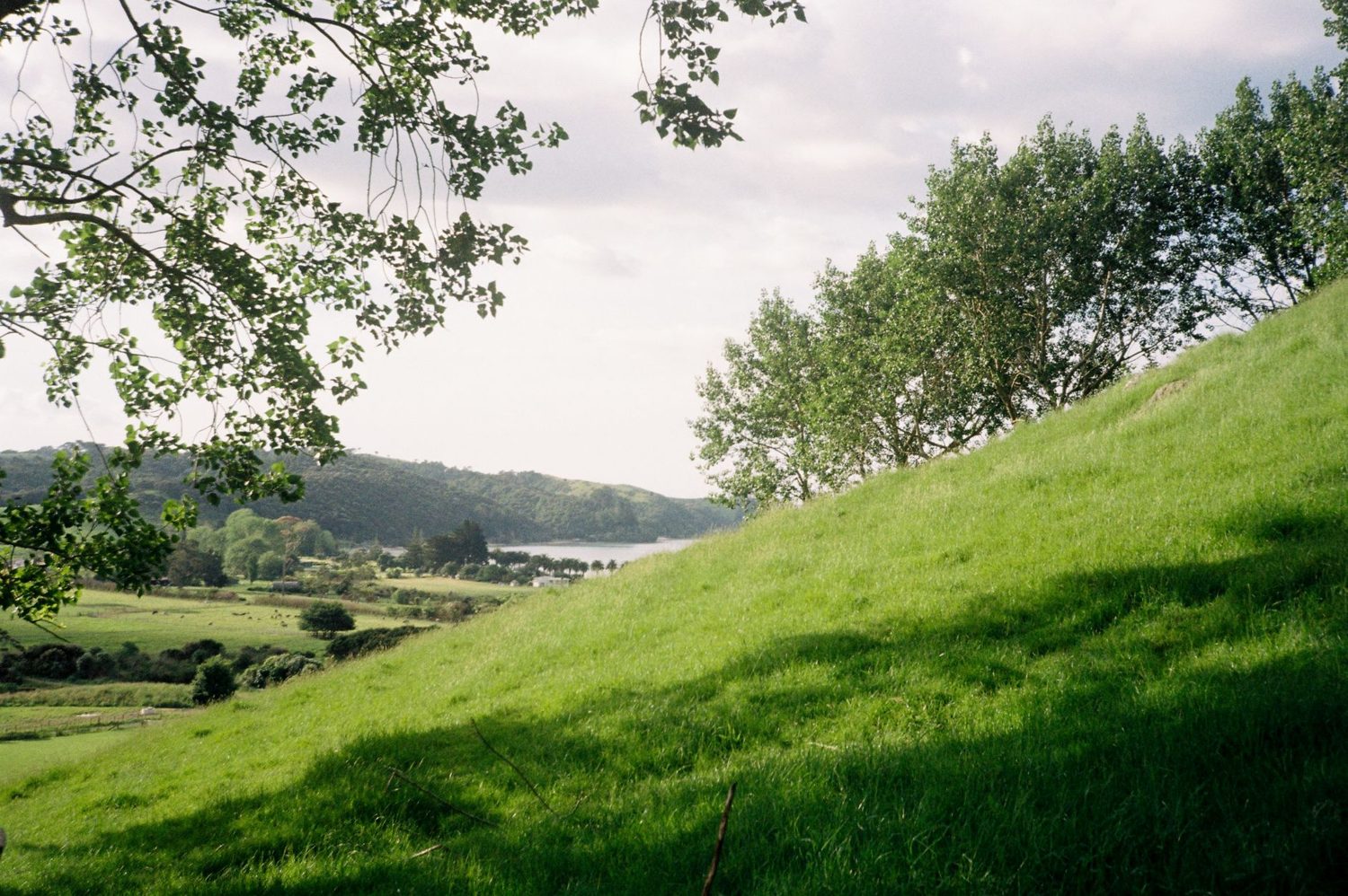 Lake Wainamu ringed by black sand dunes behind Bethells Beach