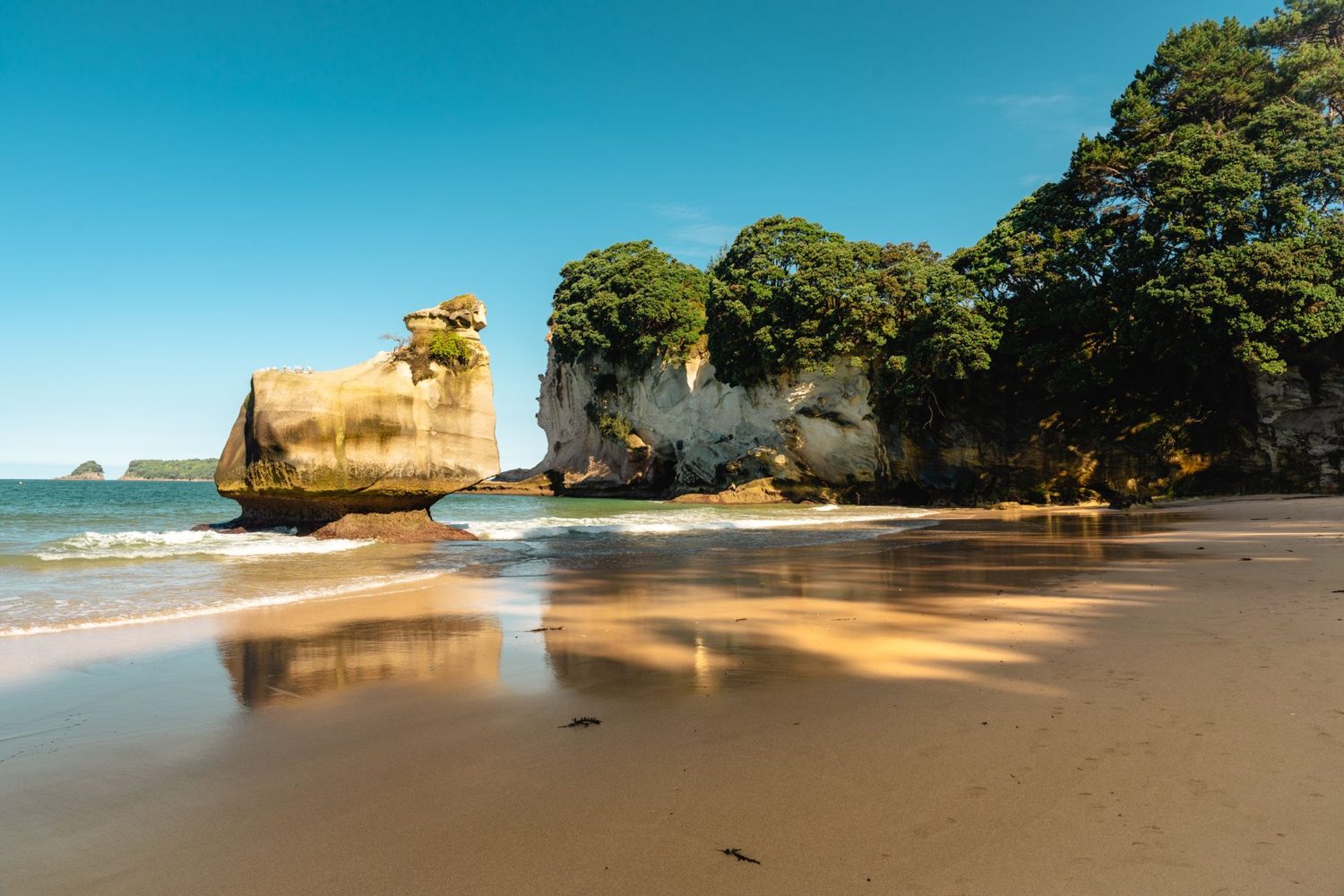 White sand and cliffs at Cathedral Cove, Coromandel Peninsula