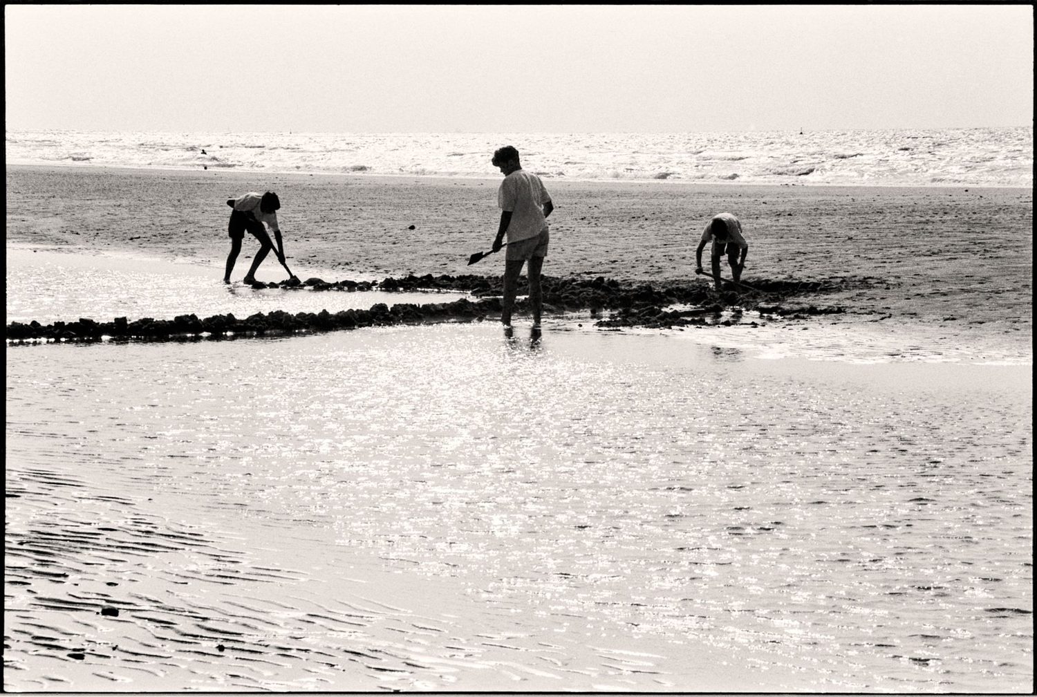 Visitors digging thermal pools at Hot Water Beach, Coromandel