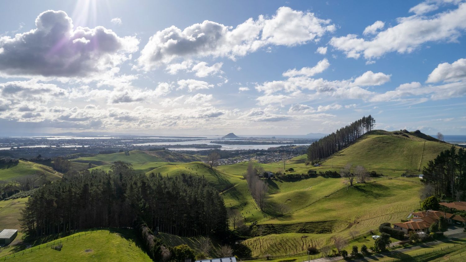 Auckland's volcanic cones including Maungawhau and Maungakiekie from above
