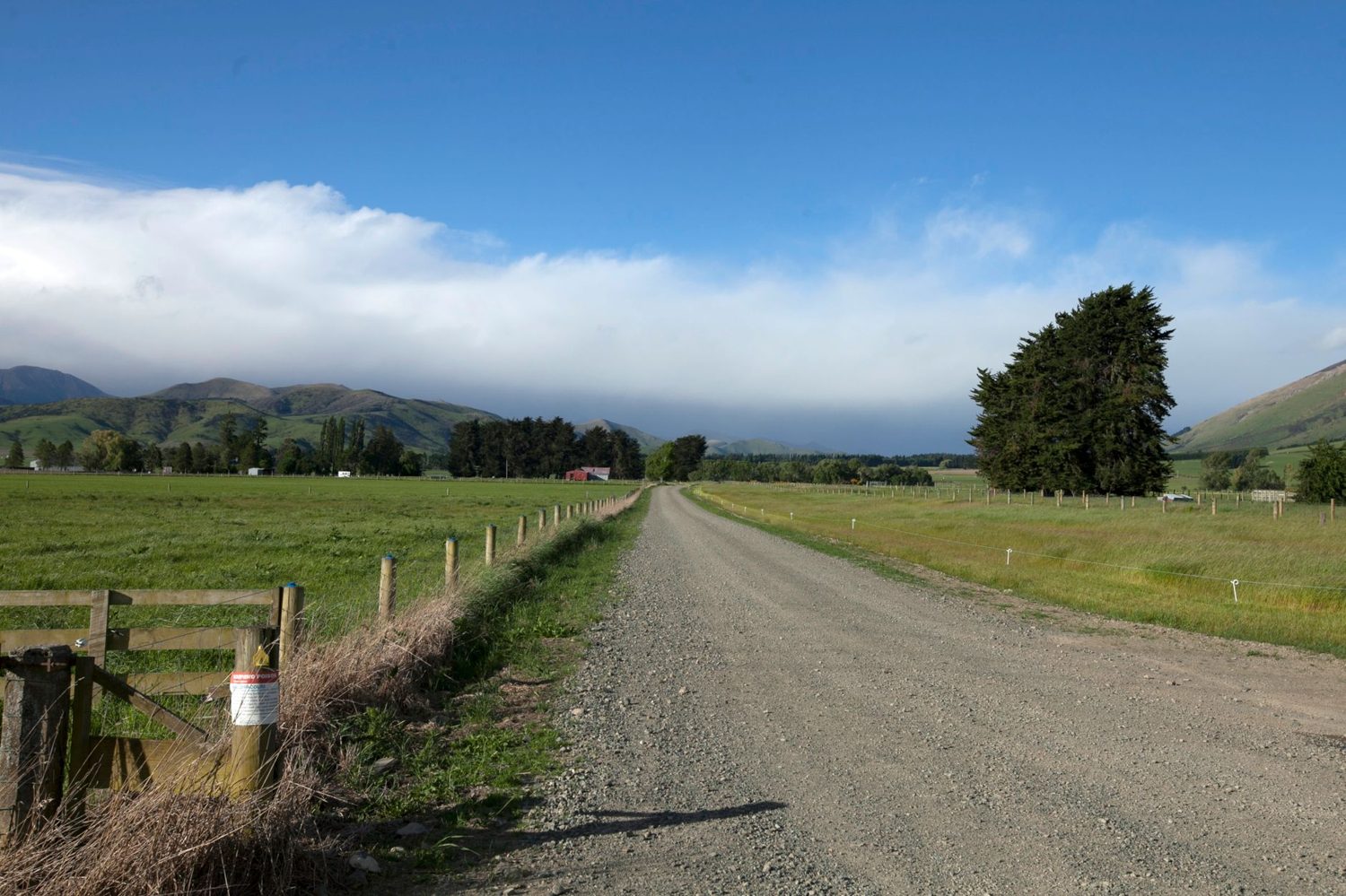 The New Zealand highway between Auckland and Rotorua through green hills