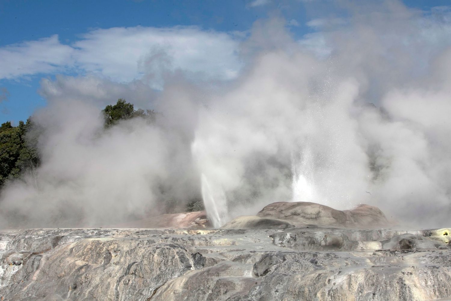 Geothermal geyser erupting on a Rotorua day trip from Auckland