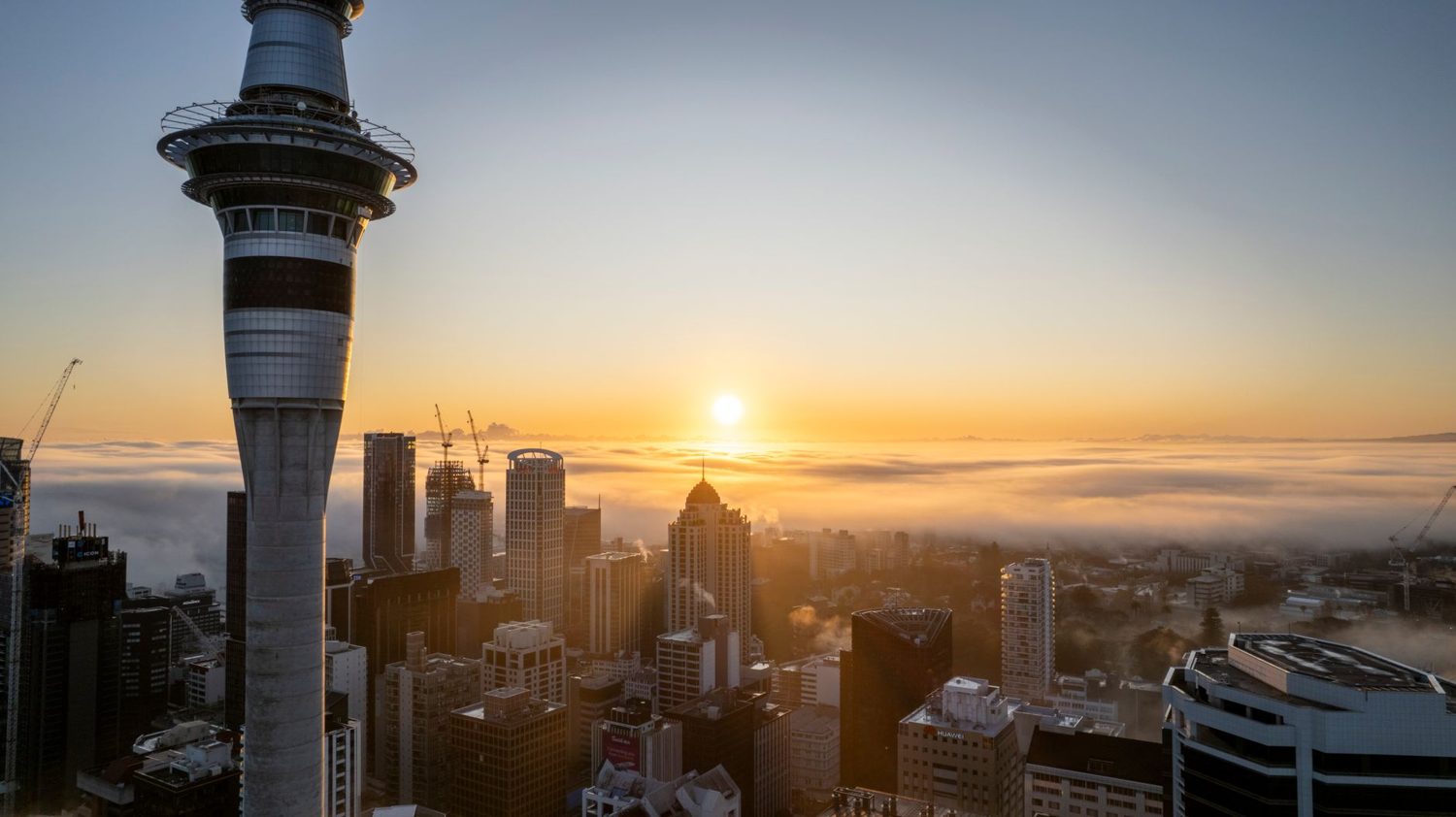 Sky Tower Auckland rising above the CBD skyline on a clear day