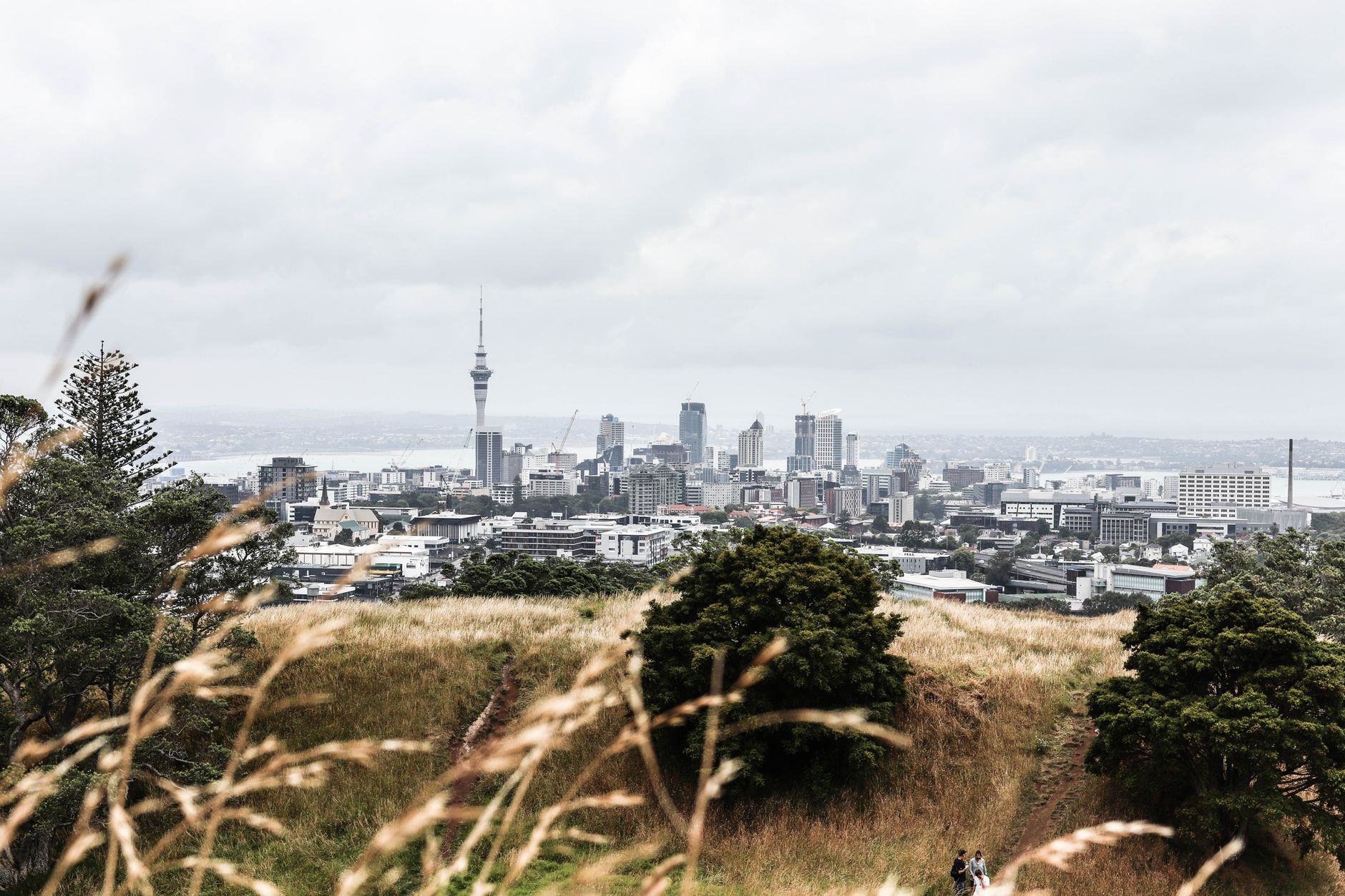The view over Auckland from Maungawhau Mount Eden summit