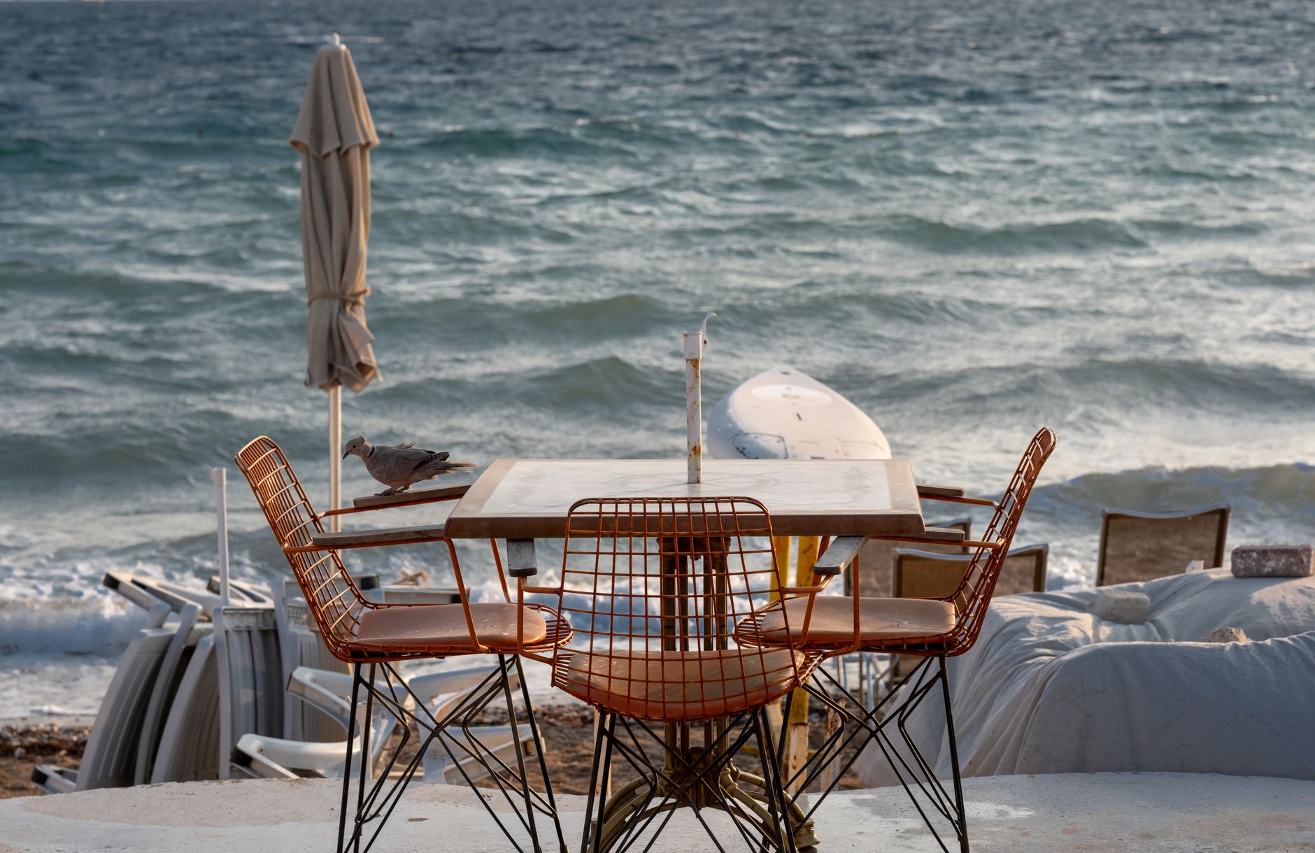 Beachfront cafe seating at Takapuna