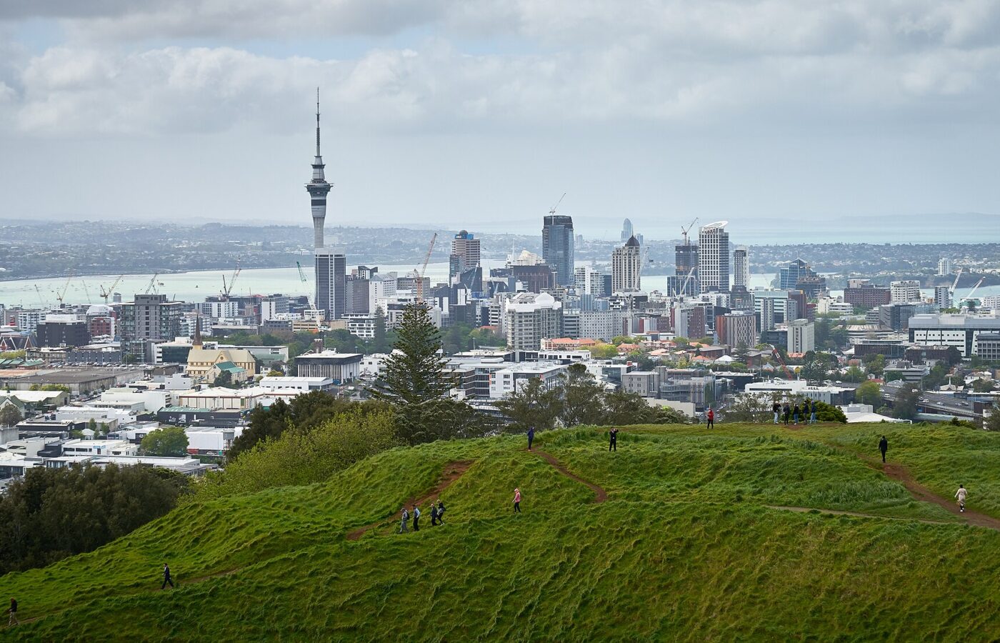 Auckland's city centre and Sky Tower seen across the grassy slopes of Maungawhau, with walkers on the paths
