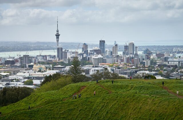 Auckland's city centre and Sky Tower seen across the grassy slopes of Maungawhau, with walkers on the paths