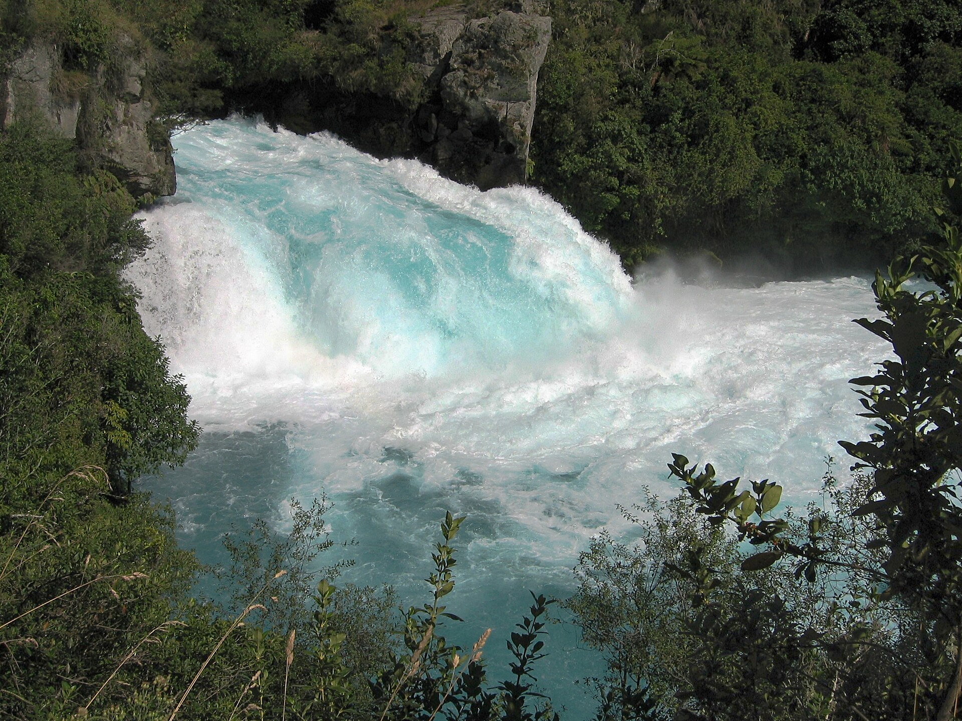 The turquoise and white water of Huka Falls surging through a narrow rock chasm lined with bush