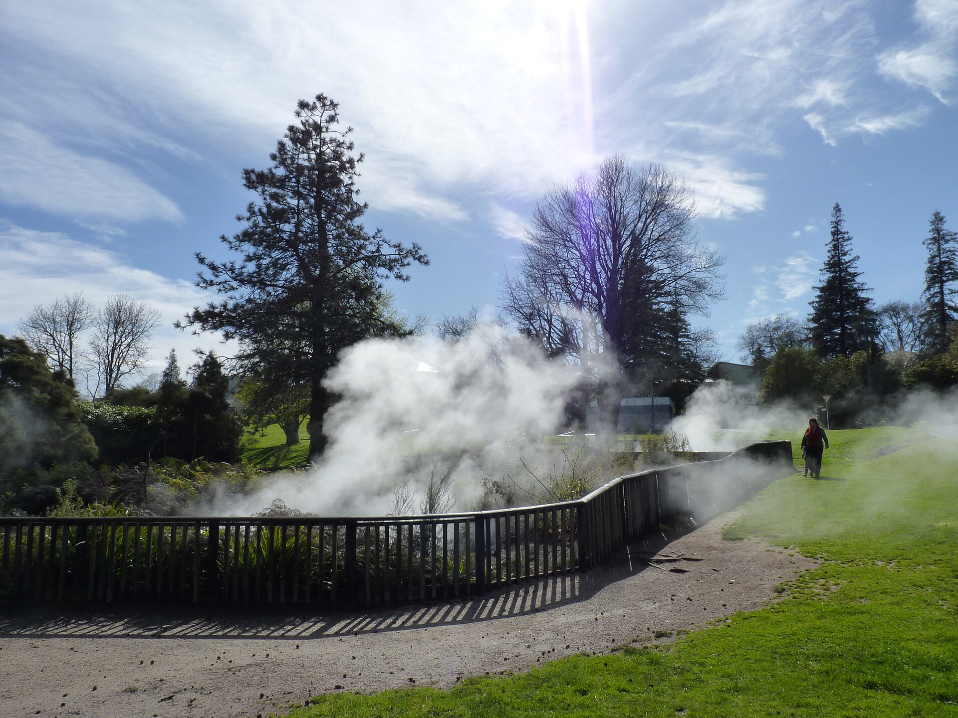 Steam billowing from a fenced geothermal pool beside a path in Kuirau Park, Rotorua