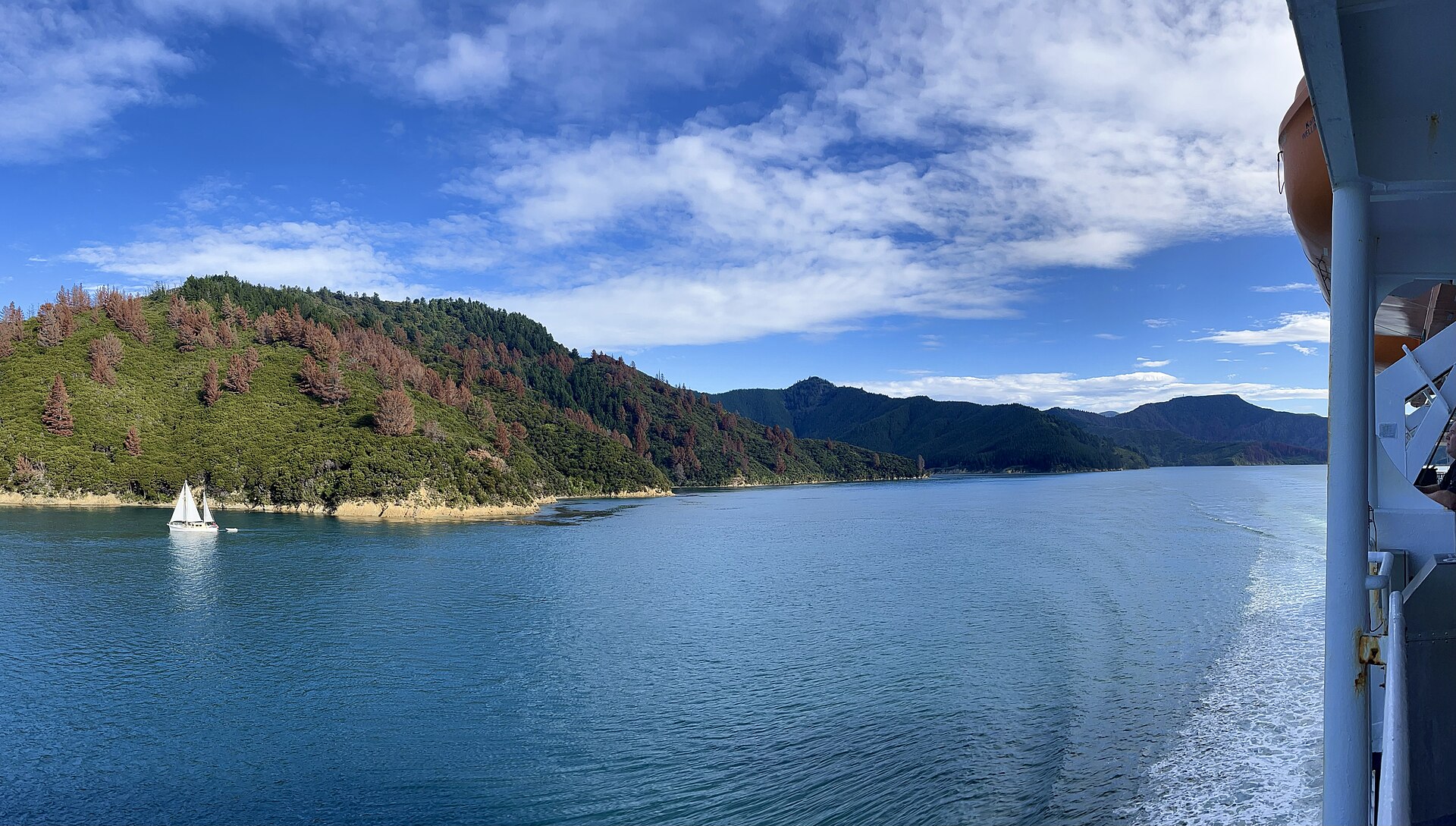 Bush-covered hills and calm blue water in the Marlborough Sounds, seen from the deck of a ferry, with a yacht in the distance