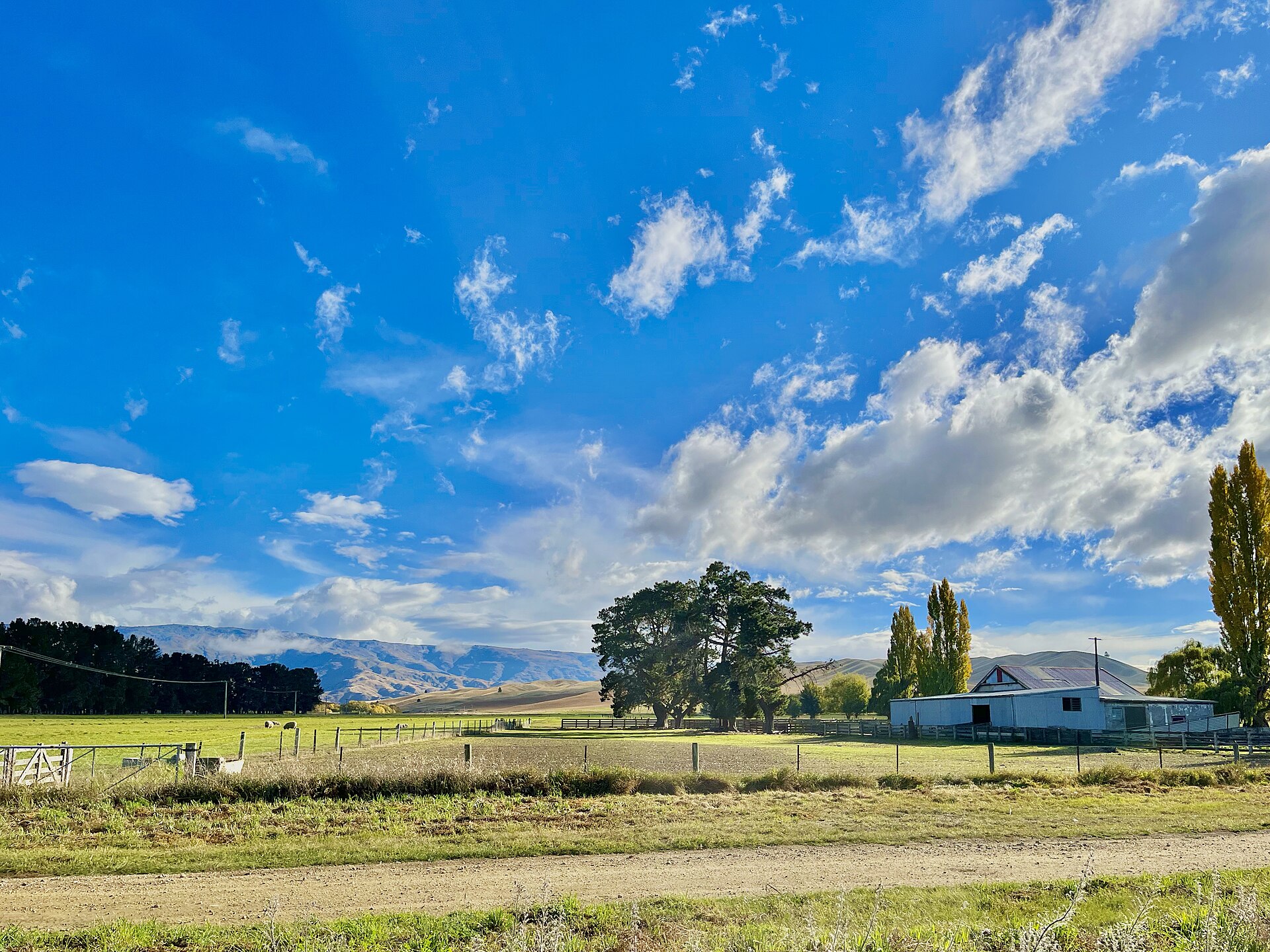 New Zealand farmland with fenced paddocks, a woolshed and hills behind, under a wide blue sky