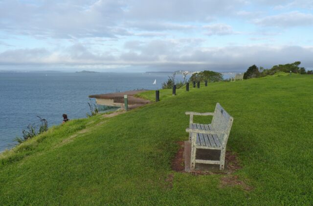 A wooden bench on the grassy slope of North Head in Devonport, looking out over the Hauraki Gulf