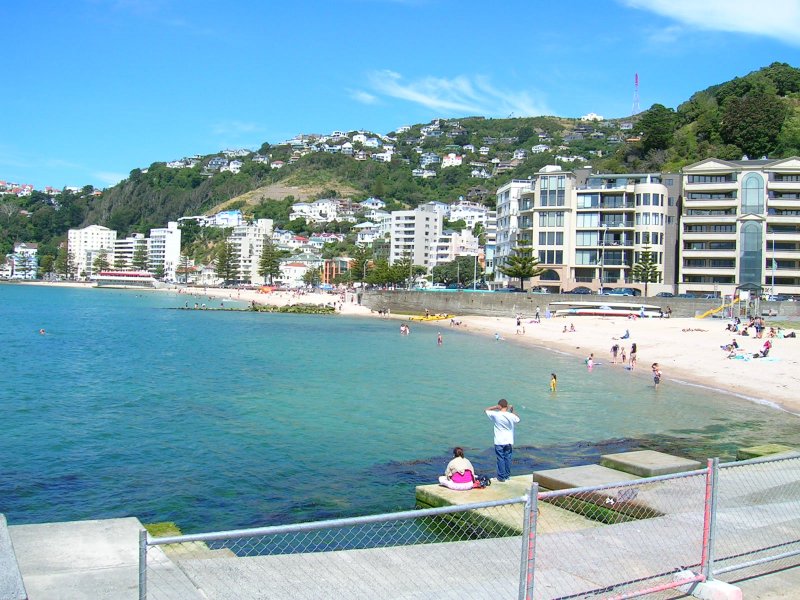 Oriental Bay's sandy beach and apartment buildings below the green hills of Wellington on a sunny day
