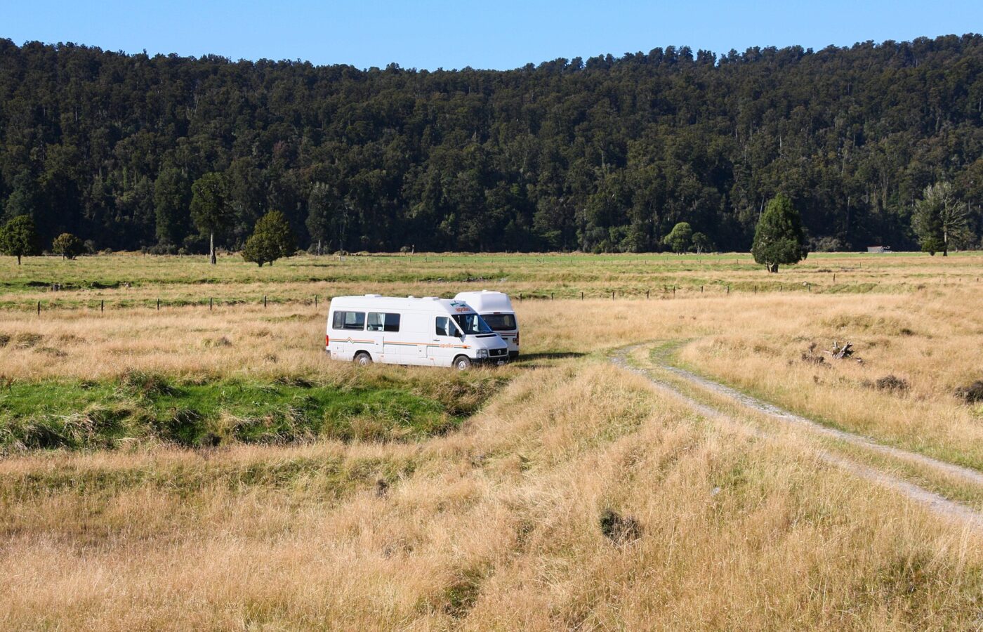A white rental campervan parked on a grassy flat below native forest in New Zealand