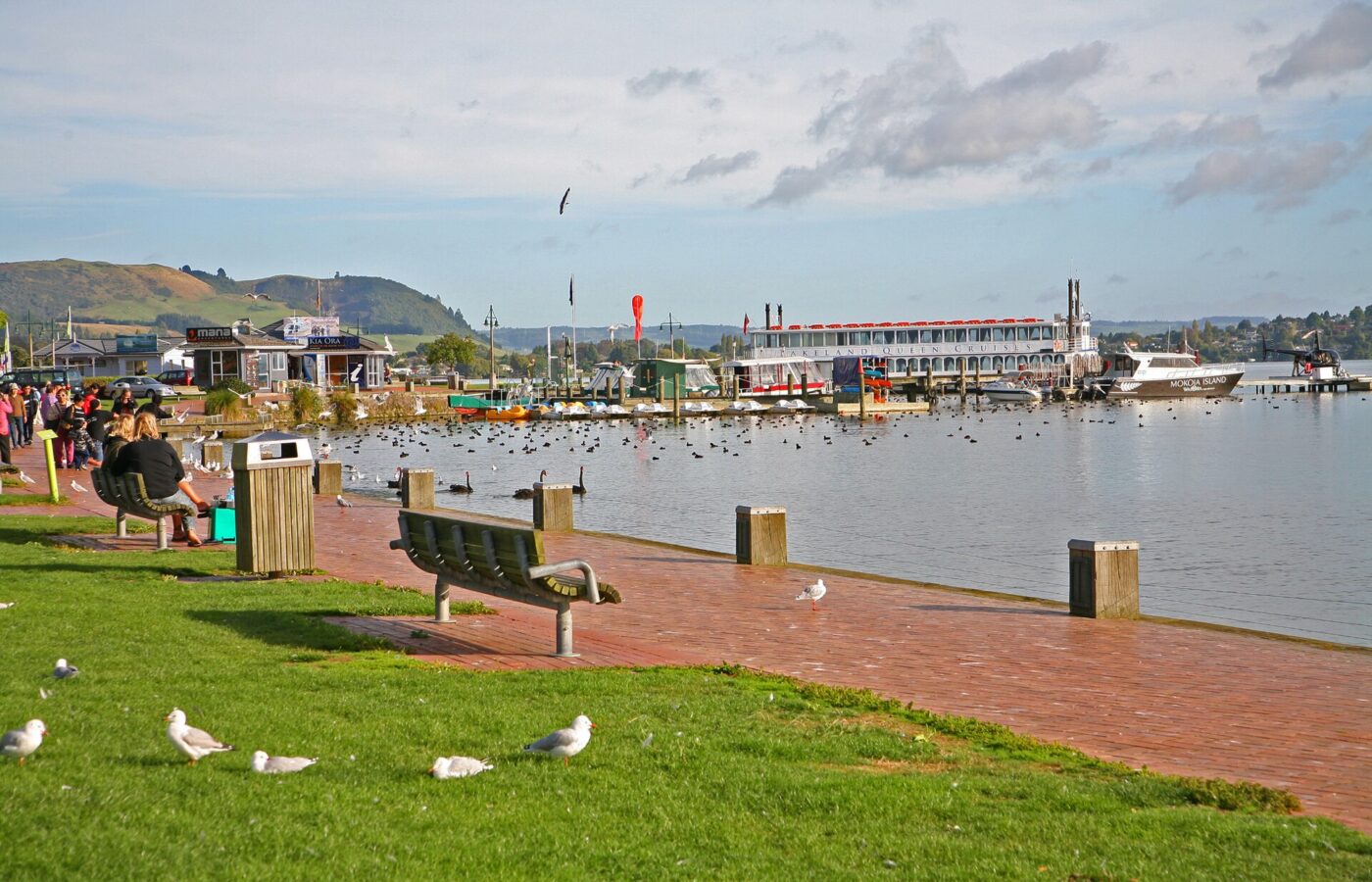 The Rotorua lakefront promenade with benches, gulls on the grass and boats moored on Lake Rotorua