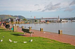 The Rotorua lakefront promenade with benches, gulls on the grass and boats moored on Lake Rotorua