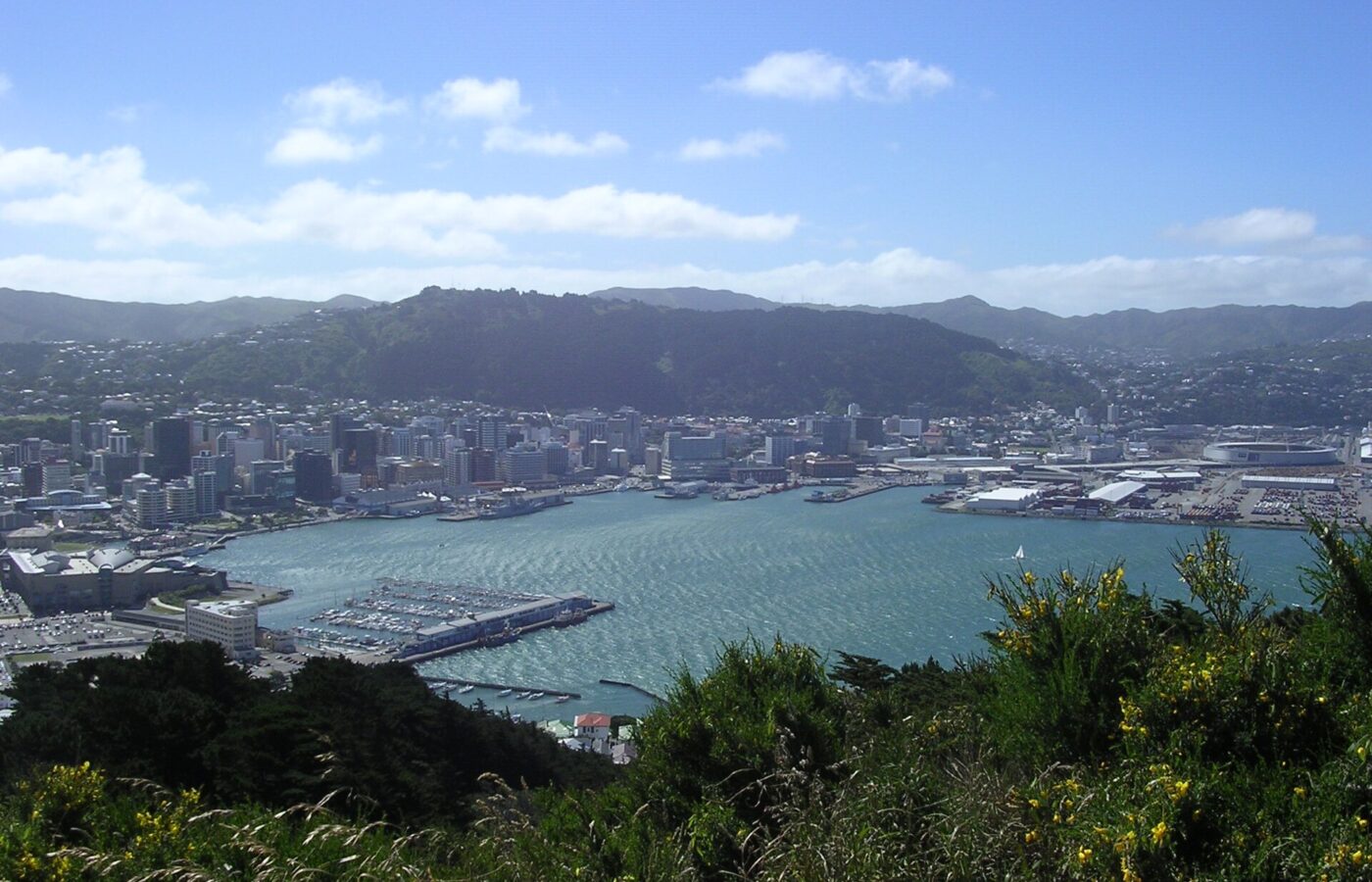 Wellington's city centre and harbour seen from Mount Victoria, with green hills rising behind the city